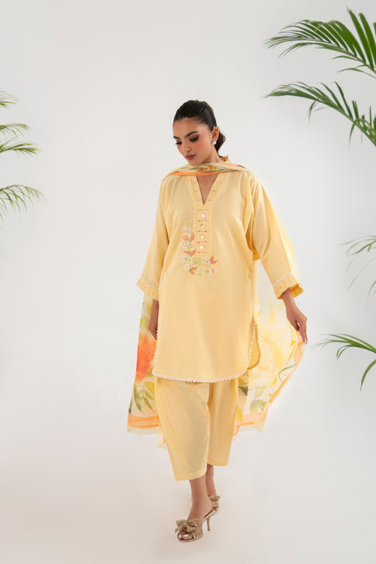 Daffodil | CK-2-004