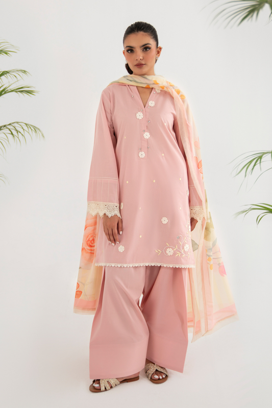 Powder Pink | CK-2-008